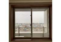 IMG_9537 2