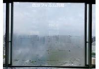 IMG_0870 2