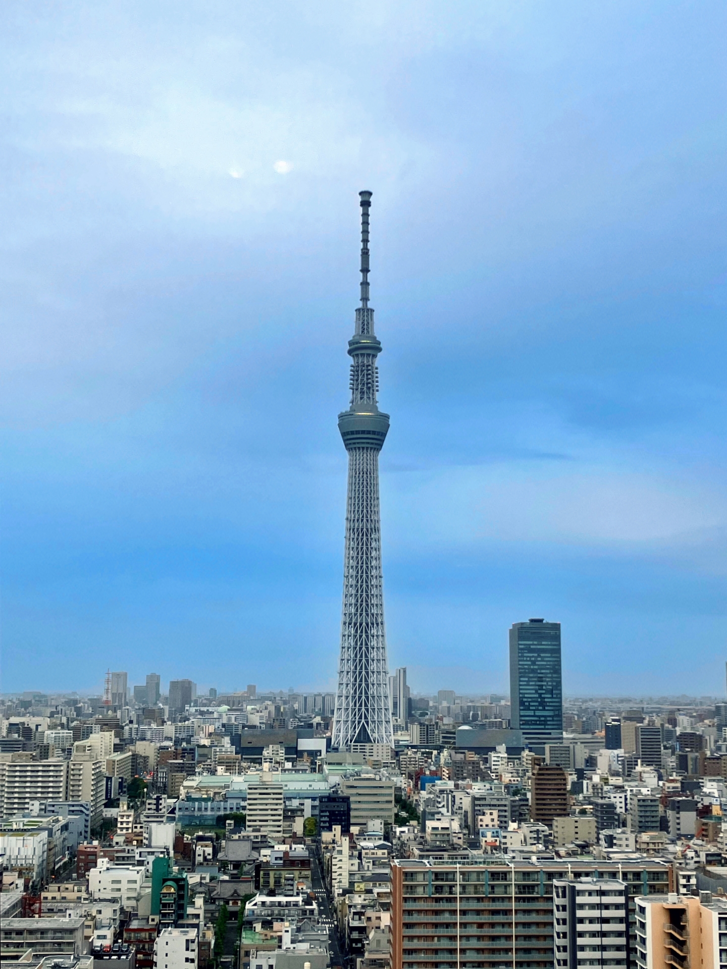 ダウンロード (3)