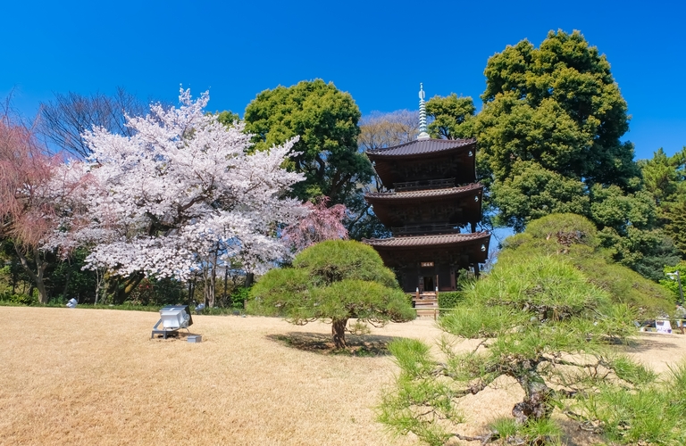 文京区｜窓ガラスフィルムで安心快適な室内空間